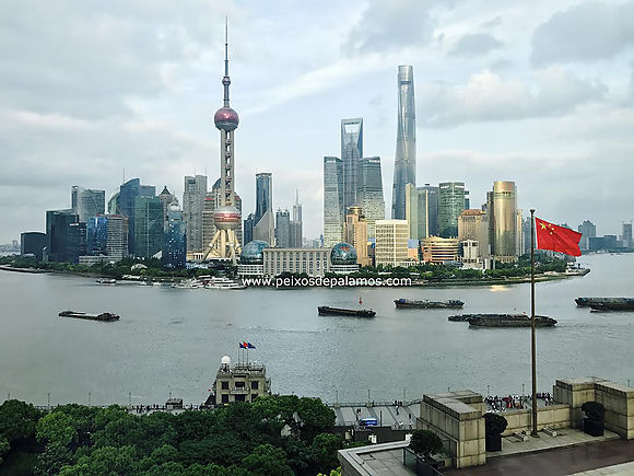 Balance positivo del primer año de Peixos de Palamós en Shanghai