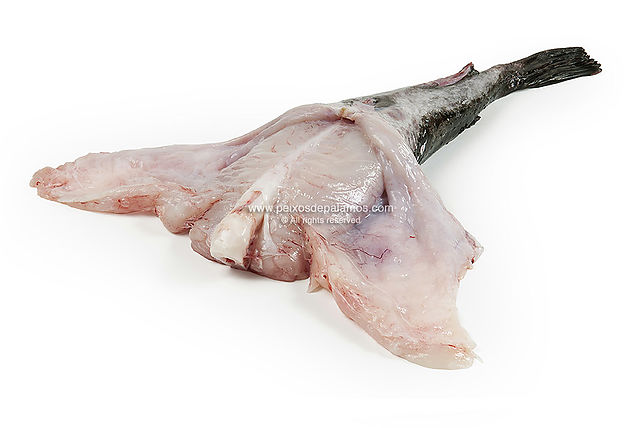 Monkfish tail