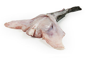 Monkfish tail