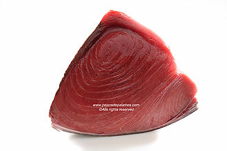 Bluefin Tuna