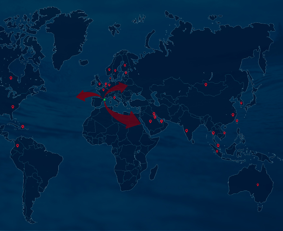 Insiginia of reference in a world of professionals